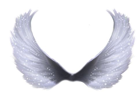 pngwing|Free png images .